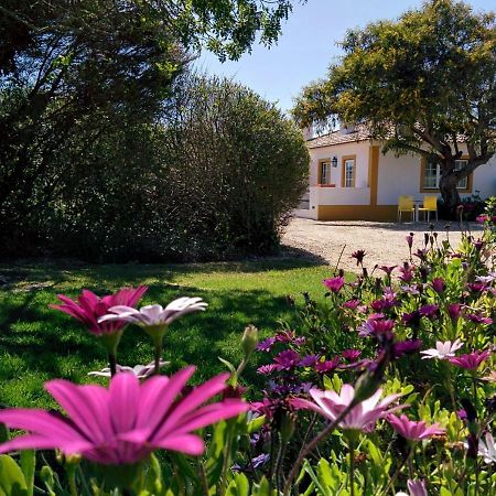 Casas Das Amoreiras Aldeia do Meco Eksteriør bilde